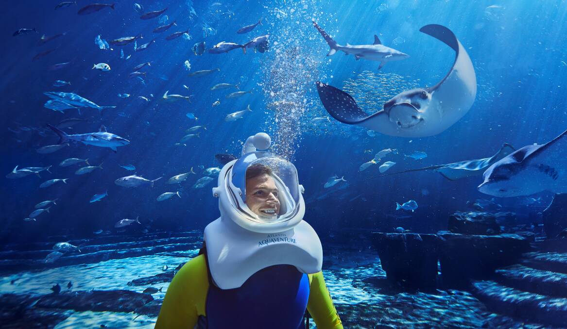 Keep your head dry on a new underwater adventure in Dubai.
