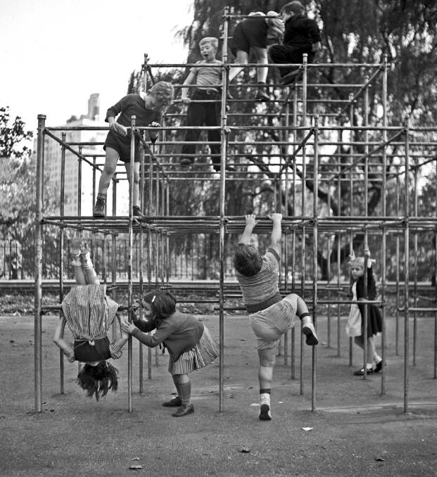 Now considered too dangerous, monkey bars were popular in the school playground.