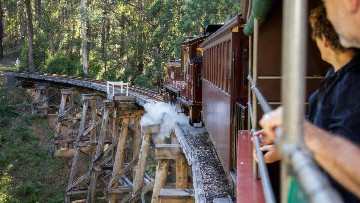 You're never too old to ride on Puffing Billy through Victoria's glorious Dandenong Ranges. Photo: Visit Victoria
