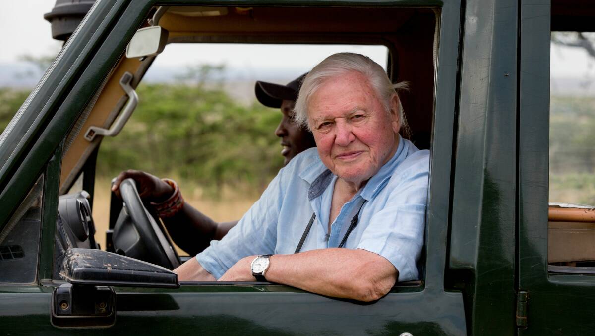 CHAMPION: Sir David Attenborough in the Masai Mara, Kenya, filming David Attenborough - A Life On Our Planet.