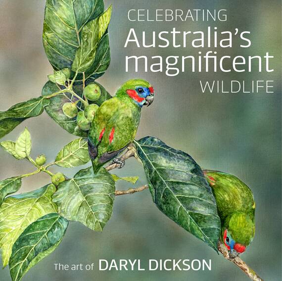 Glorious celebration of Australian wildlife