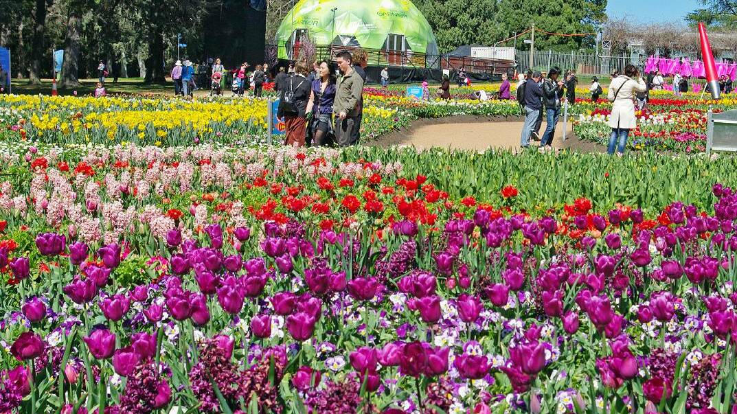 See Floriade in all its glory in Canberra on this Travelrite/The Senior escorted tour with Maureen and Paul Lucas. Photo: Paul Lucas