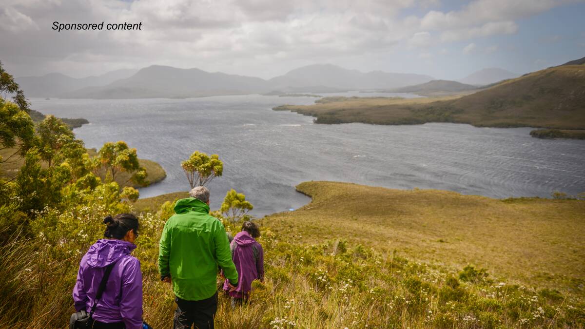 Lose yourself in the Southwest Wilderness of Tasmania