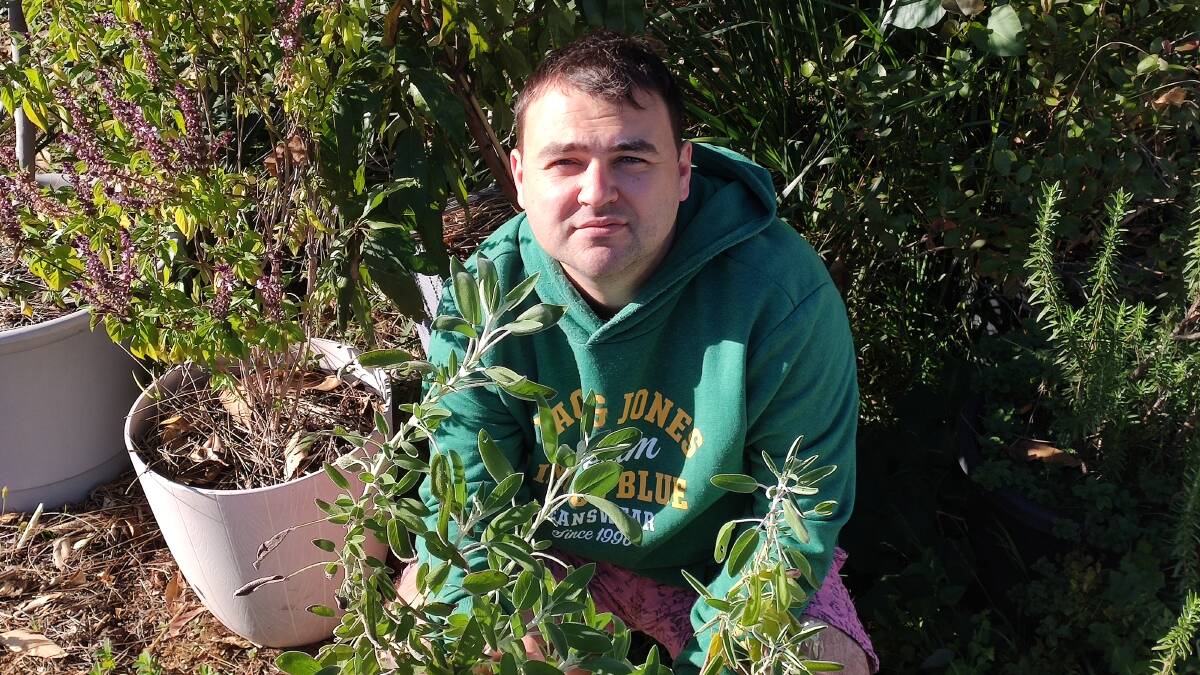 GO GREEN: Despite living in a townhouse, gardener Brett Ross is able to grow a large variety of food in his front garden.