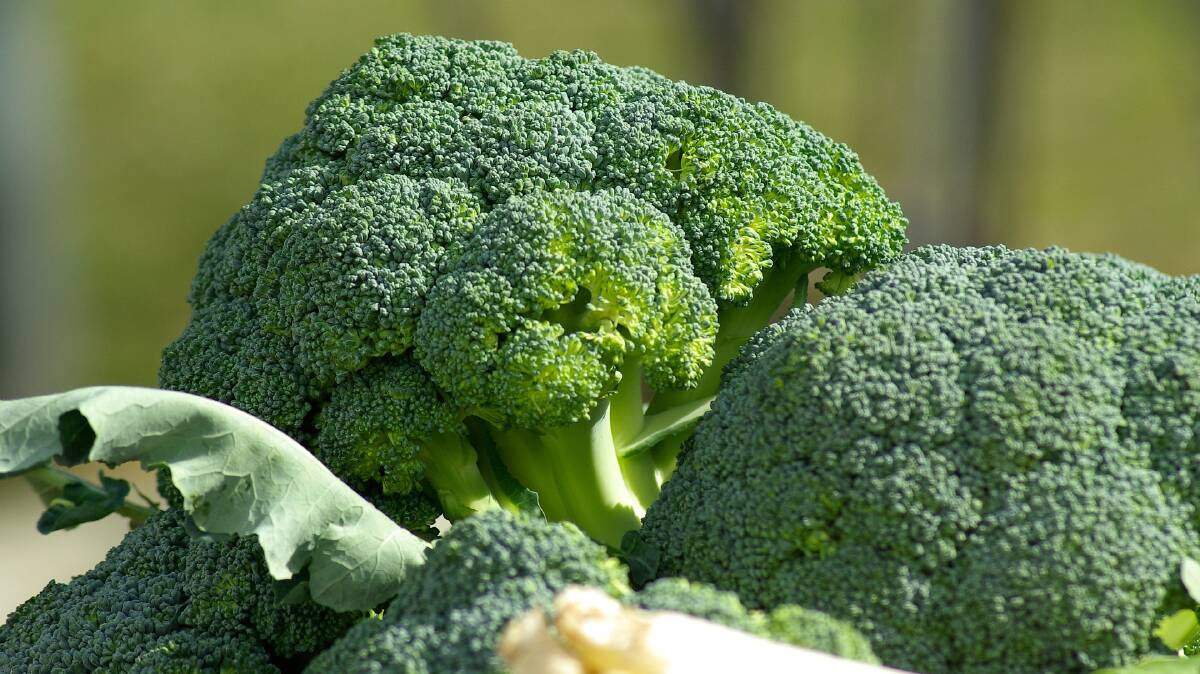 BROC ROCKS: Cruciferous vegetables like broccoli have been linked to a lower fall risk in older people.
