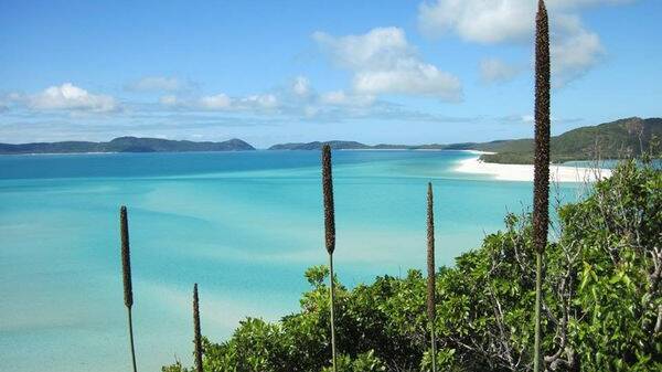 BLISS: The Whitsundays are a slice of heaven.