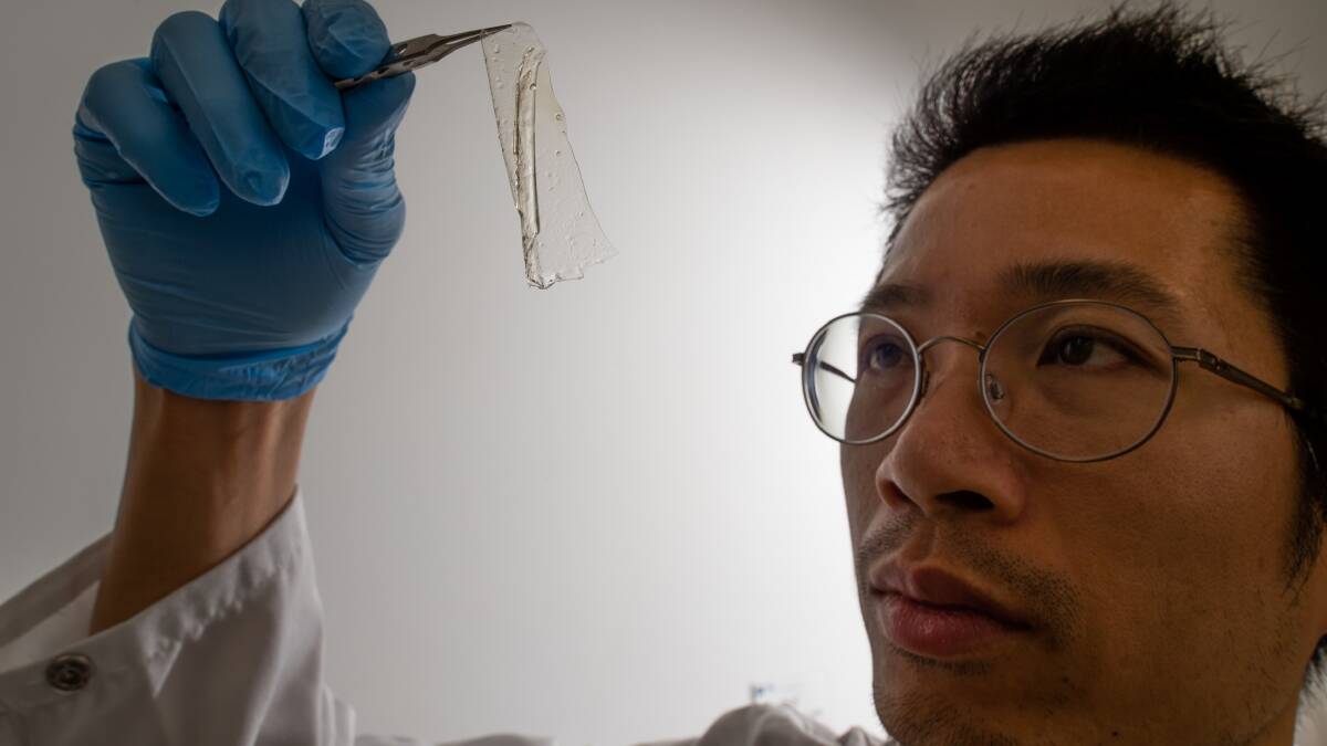 SHELL SCIENCE: Dr Phong Tran is hopeful a bandage made from powdered crustacean shells could help wounds heal faster.