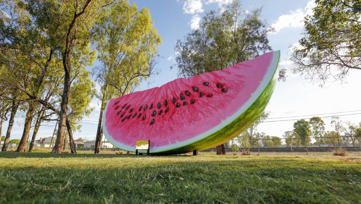 One in a melon: Chinchilla's Big Melon beat a Big Kilt in Glen Innes, a Big Peanut in Kingaroy and a Big Tulip in Mittagong to win Wotif's Next Big Thing competition.