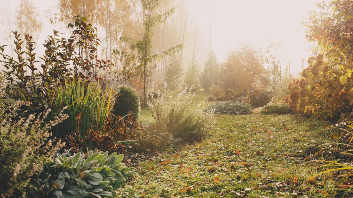 A winter garden. Picture: Shutterstock.