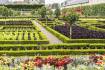 The evolution of edible gardens throughout the centuries