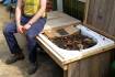 The ideal worm farm that's also a bench seat | Backyard Bliss