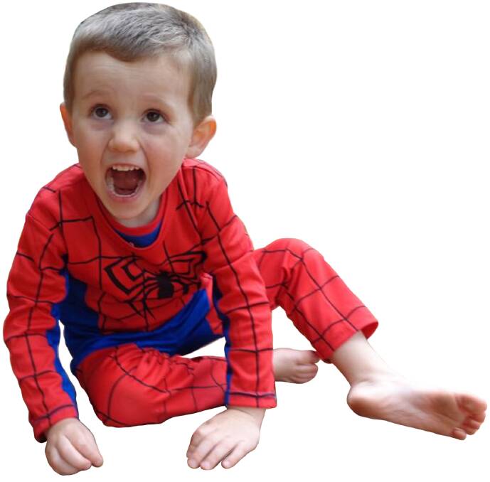 William Tyrrell inquest Court hears of child seen wearing Spiderman