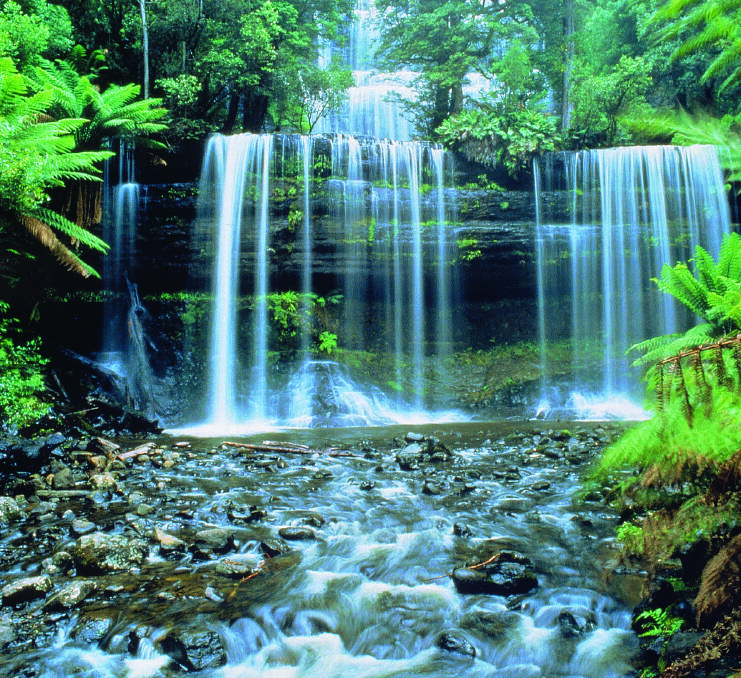 Get your senses tingling at magical Russell Falls.