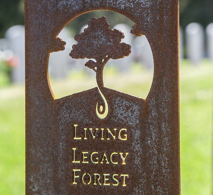 Living Legacy trees creating new life from ashes
