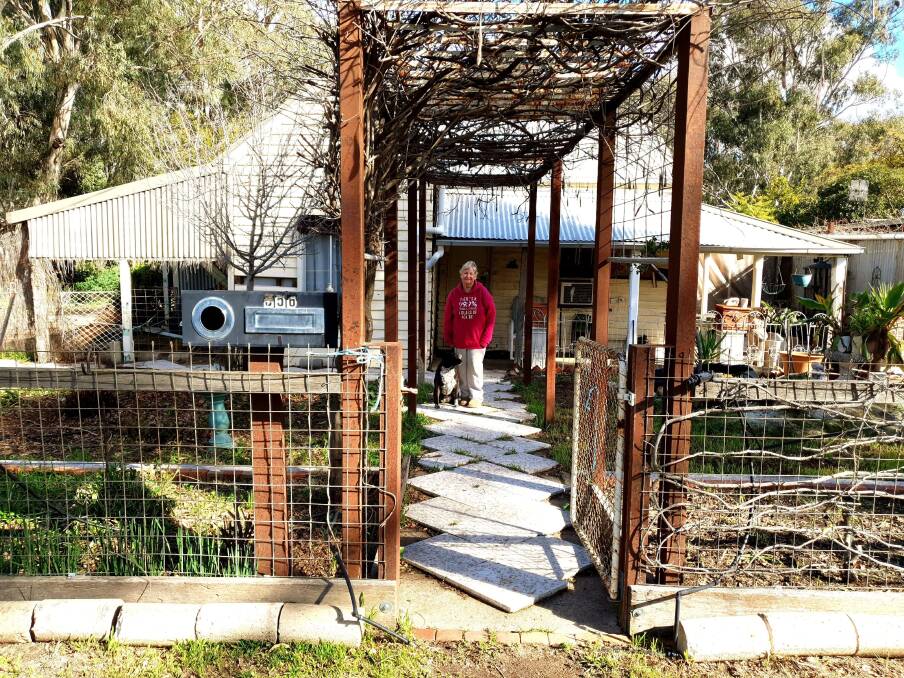 GUTTED: Julie Pearn is facing a $100,000 clean up bill after squatters destroyed her Deniliquin home.