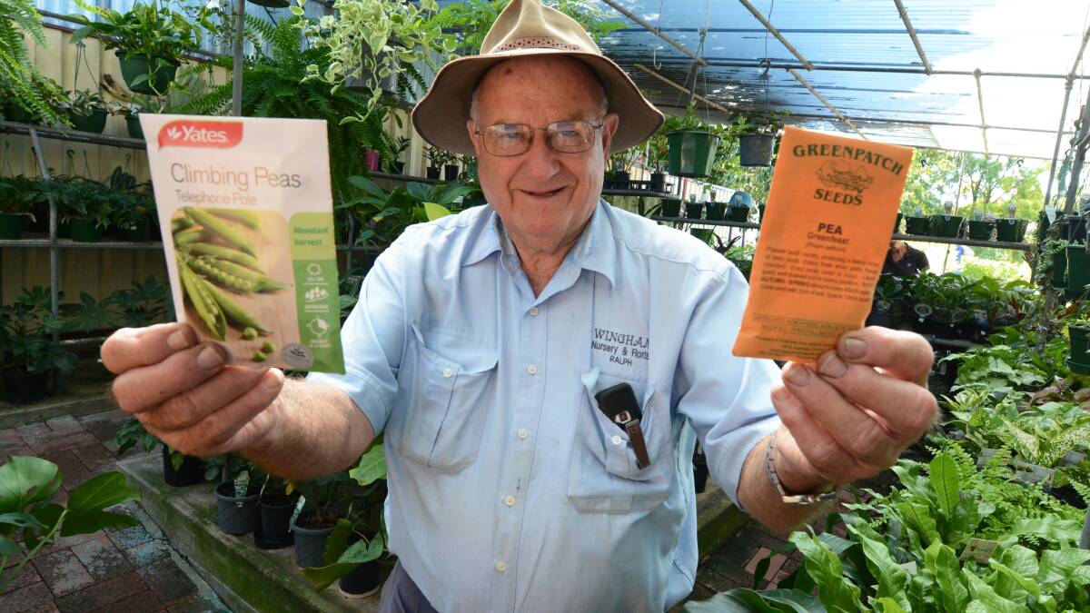 Busy as a bee: Ralph Sawyer of Wingham Nursery and Florist says he has never sold as many seeds as he is selling now. Photo: Scott Calvin