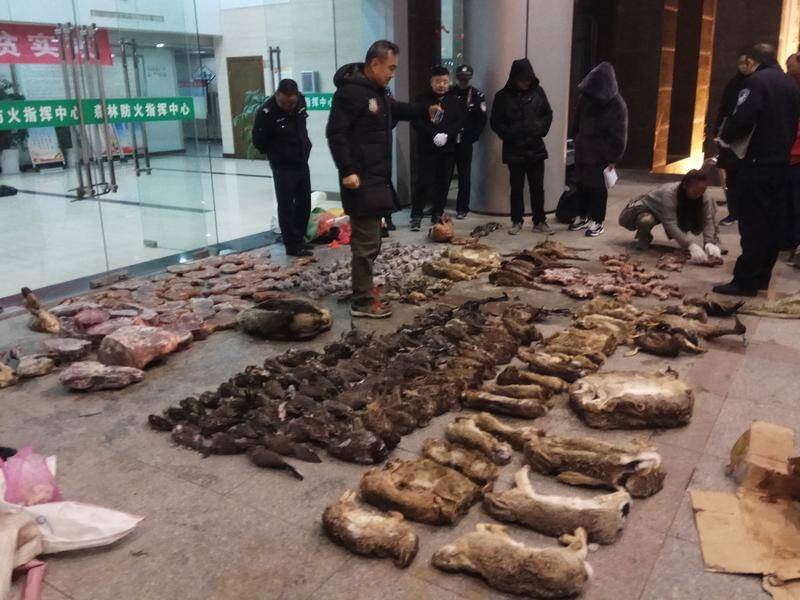 China has banned the wildlife trade across the country following the deadly coronavirus outbreak.