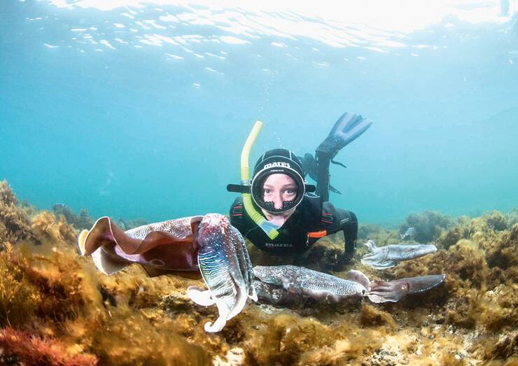 BIG FISH - See giant cuttlefish off Stony Point on the Eyre Peninsula. Photo: Carl Charter