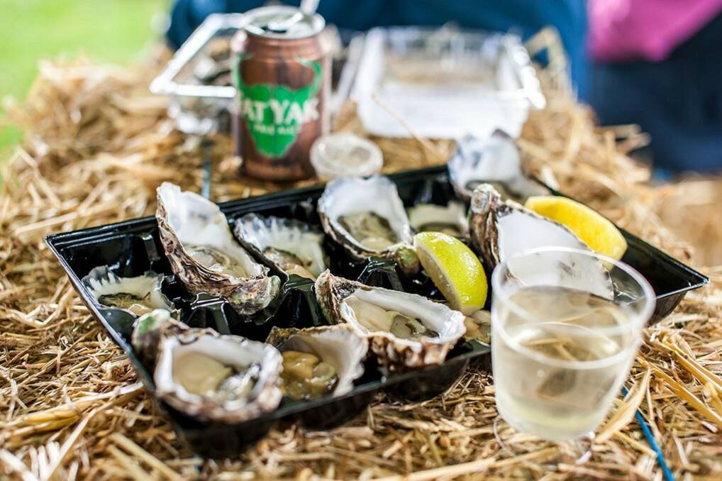 Try local oysters at Narooma's Oyster Festival in May.