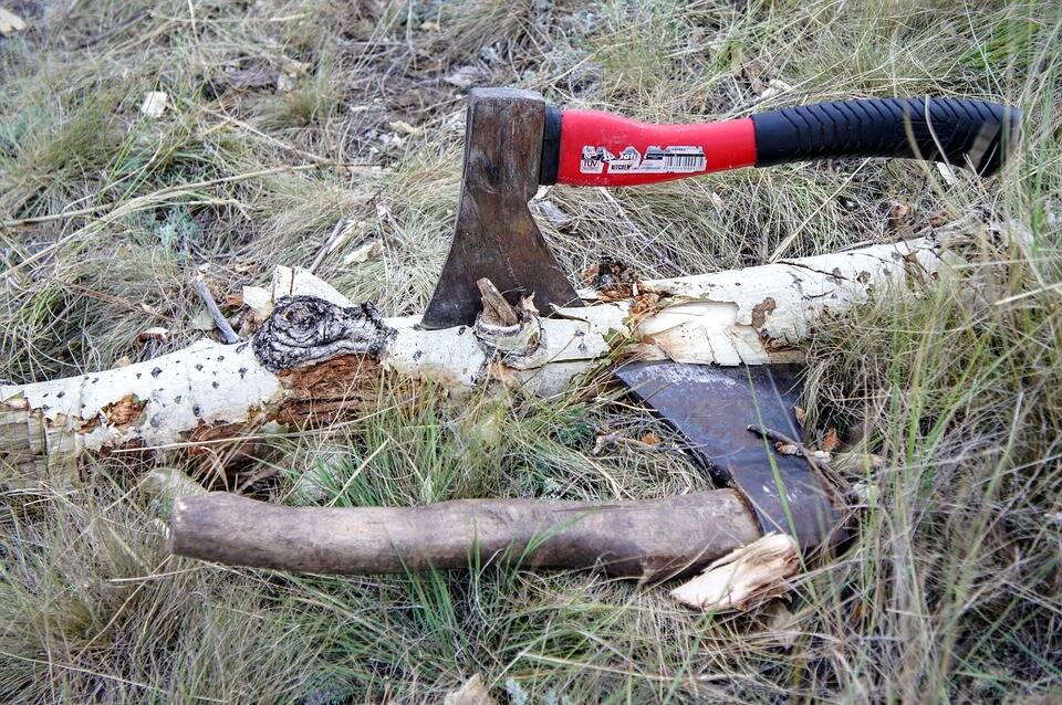 SCARE TACTICS: Beware dodgy tree loppers.