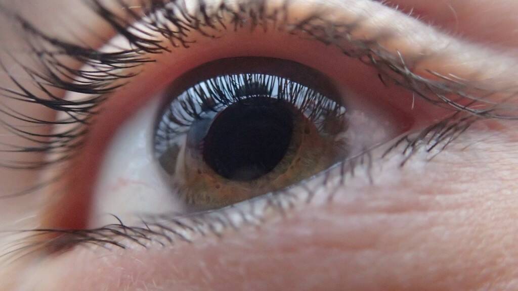 Did you know the eyes contain the most active muscles in our body?