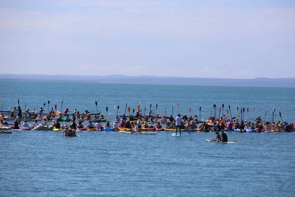 Visitors can jump on a paddleboard to raise awareness of whale conservation as part of Paddle Out for Whales.