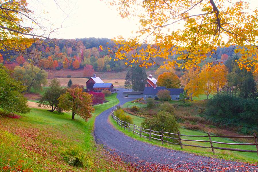 See the beautiful colours of America and Canada in fall.