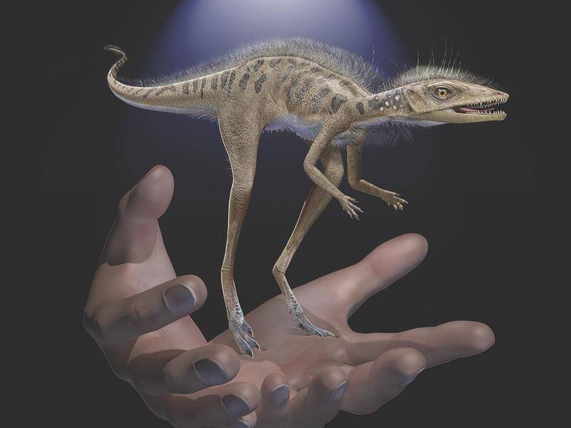 A small insect-eating reptile was a forerunner of giant dinosaurs and pterosaurs, researchers say.