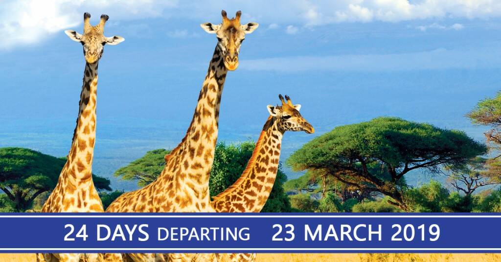 Singapore to Capetown escorted cruise