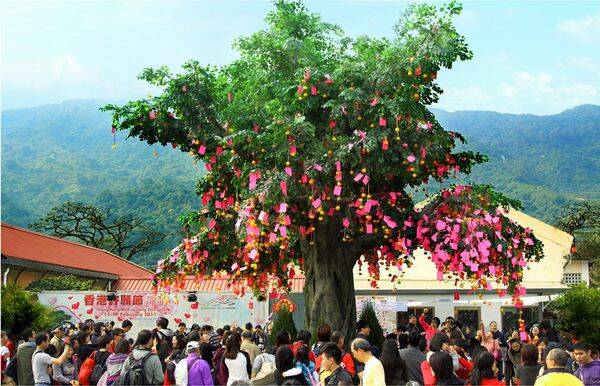 The Lam Tsuen Wishing Trees.
