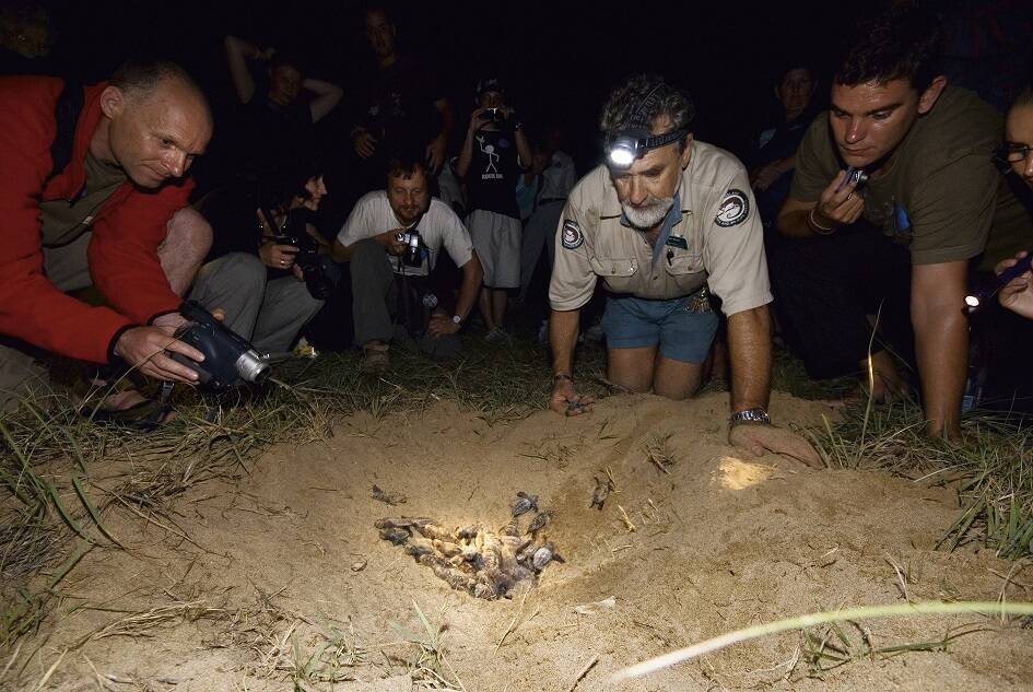 A park ranger shows visitors a nest of turtle eggs.