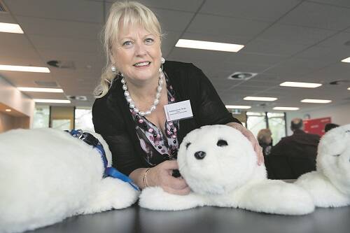 Sealed and delivered – Wendy Moyle with Paro the companion robot, which responds to touch and the sound of its name.