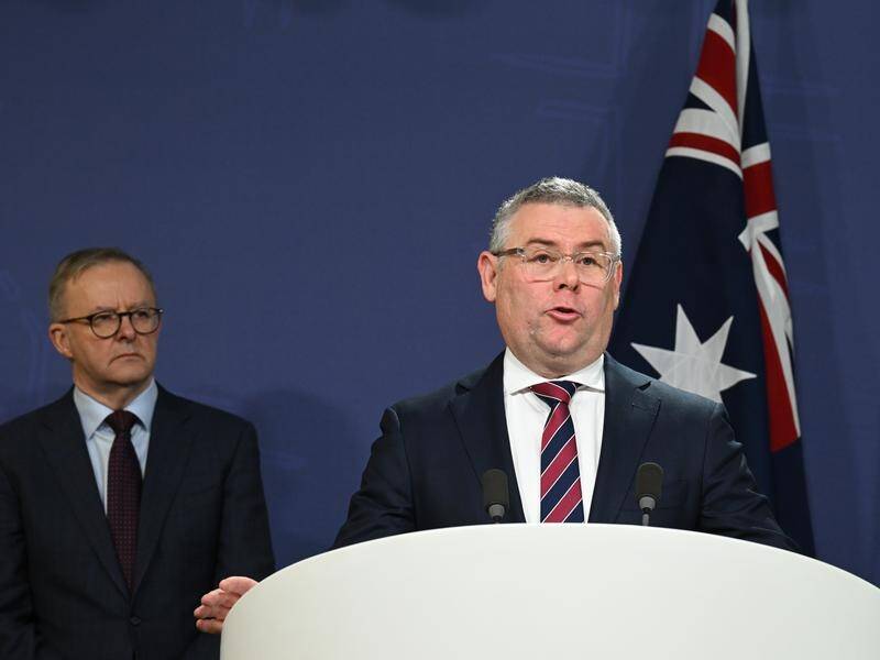 Labor minister Murray Watt, right, says the government has prioritised the aged care sector. (Dean Lewins/AAP PHOTOS)