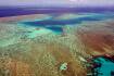 Barrier Reef critical as warming hits