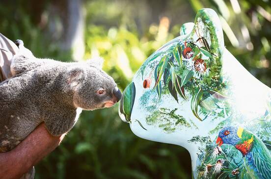 The Hello Koalas Festival is on in Port Macquarie this month.