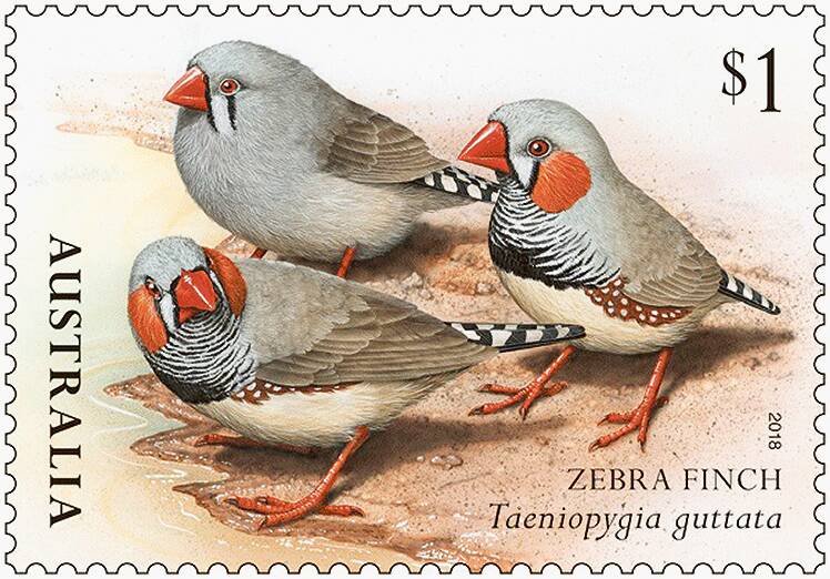 You'll be all aflutter at this new stamp release.