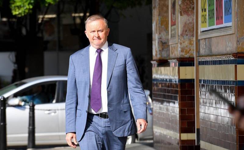 Labor frontbencher Anthony Albanese has linked the franking credits policy to the election loss.