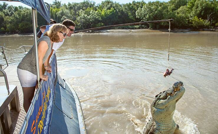 QUICK SNACK – A crocodile prepares to nab a tasty morsel.  Photo: Shaana McNaught/Tourism NT