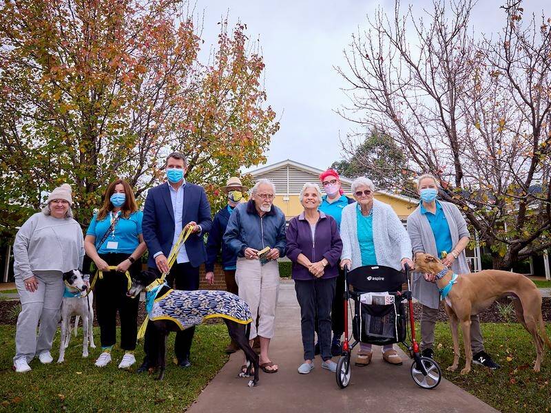 In an Australian first, aged care residents will interact with greyhounds to boost quality of life.