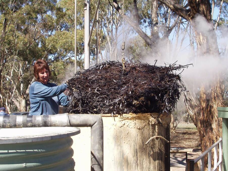 OIL AND TOIL - Volunteer eucy cutter Robyn Vella at the working eucy stew pot in Wedderburn.