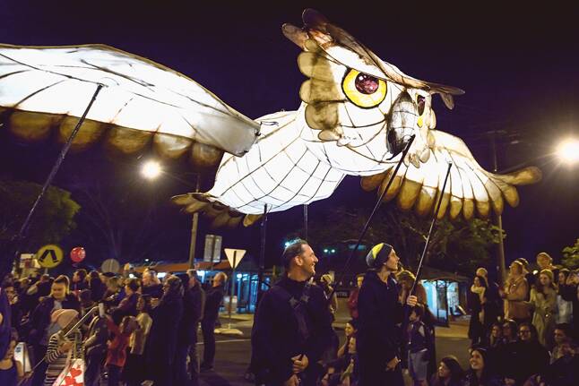 WHAT A HOOT - Lanterns of all shapes and sizes will light up Lismore. Photo: Natsky.