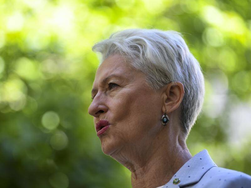 Kerryn Phelps has received a series of abusive emails since winning Malcolm Turnbull's seat.