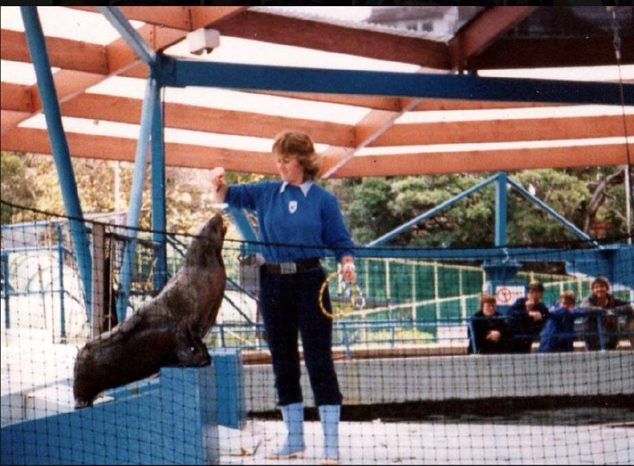 SEAL OF APPROVAL - Kathy Lynch (formerly Kathy Hill) with Suzy the seal at Marineland Sydney in the early 1980s. Photo: Manly Daily.