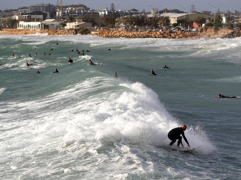 A man is missing following reports of a shark attack at Port Beach in Perth.