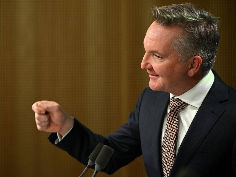 Chris Bowen says solutions agreed to at a crisis meeting will have an "early effect" on gas prices.