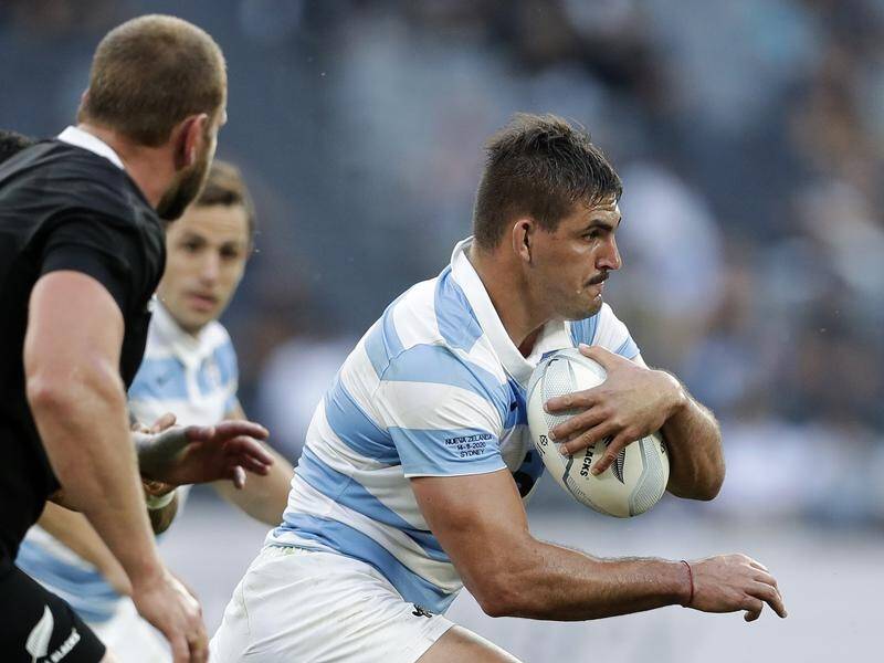 Matera reinstated as Pumas rugby captain | | Senior