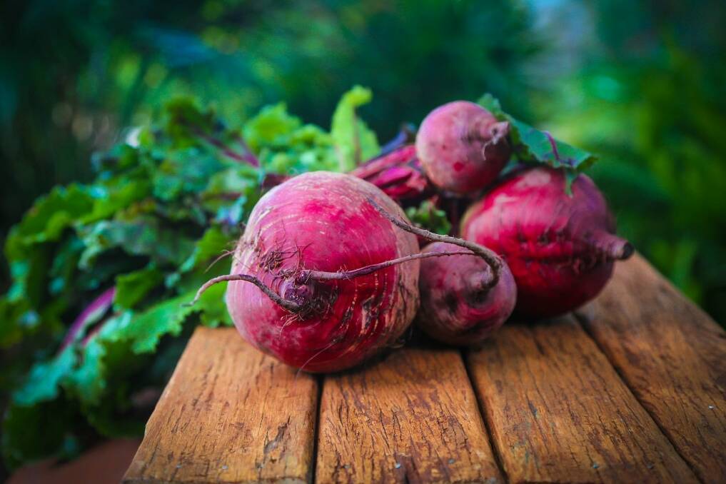 BEET THIS - Researchers are investigating the link between beetroot juice and exercise performance.