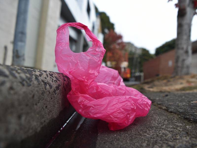 The NSW Labor opposition is calling for a statewide ban on single-use plastic bags.