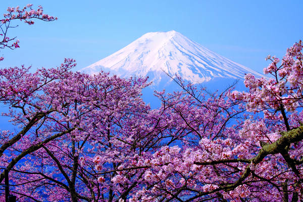See the sights of Japan with Wendy Wu Tours.
