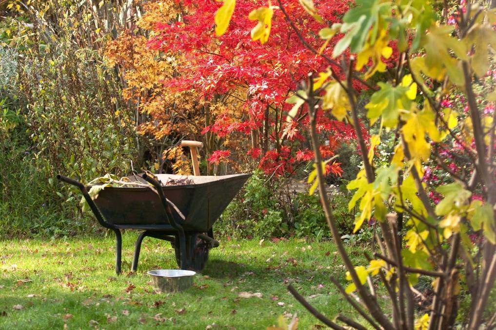 Get outside: Autumn is the time to mulch, prune and to get around to those odd jobs like fixing your tools.